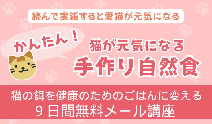 猫バナー